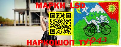 спайс Новодвинск