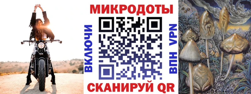 где можно купить наркотик  Богданович  kraken онион  Галлюциногенные грибы Psilocybe 