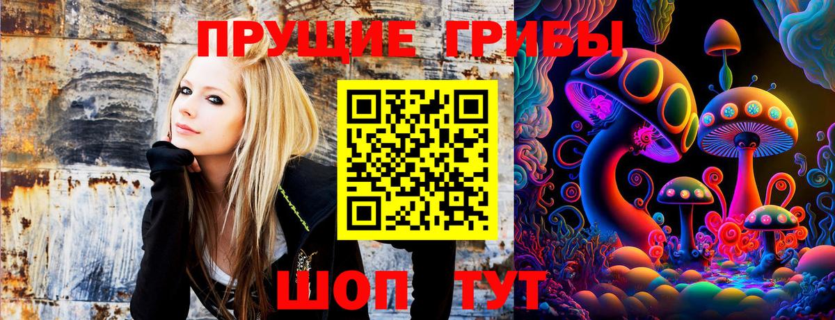 Галлюциногенные грибы Cubensis Богданович