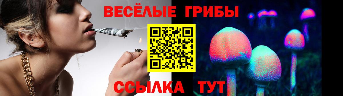 Богданович  Псилоцибиновые грибы MAGIC MUSHROOMS  Вход с VPN 